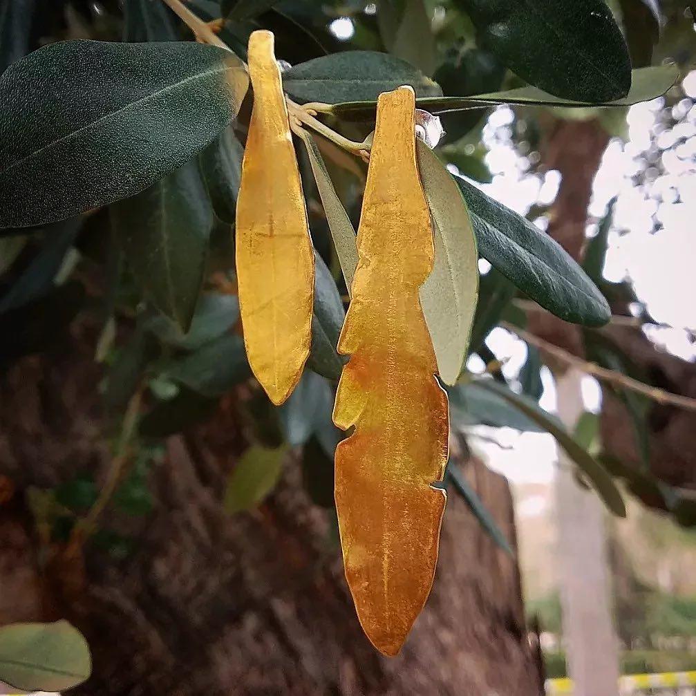 Pendientes Hojas de Olivo-0